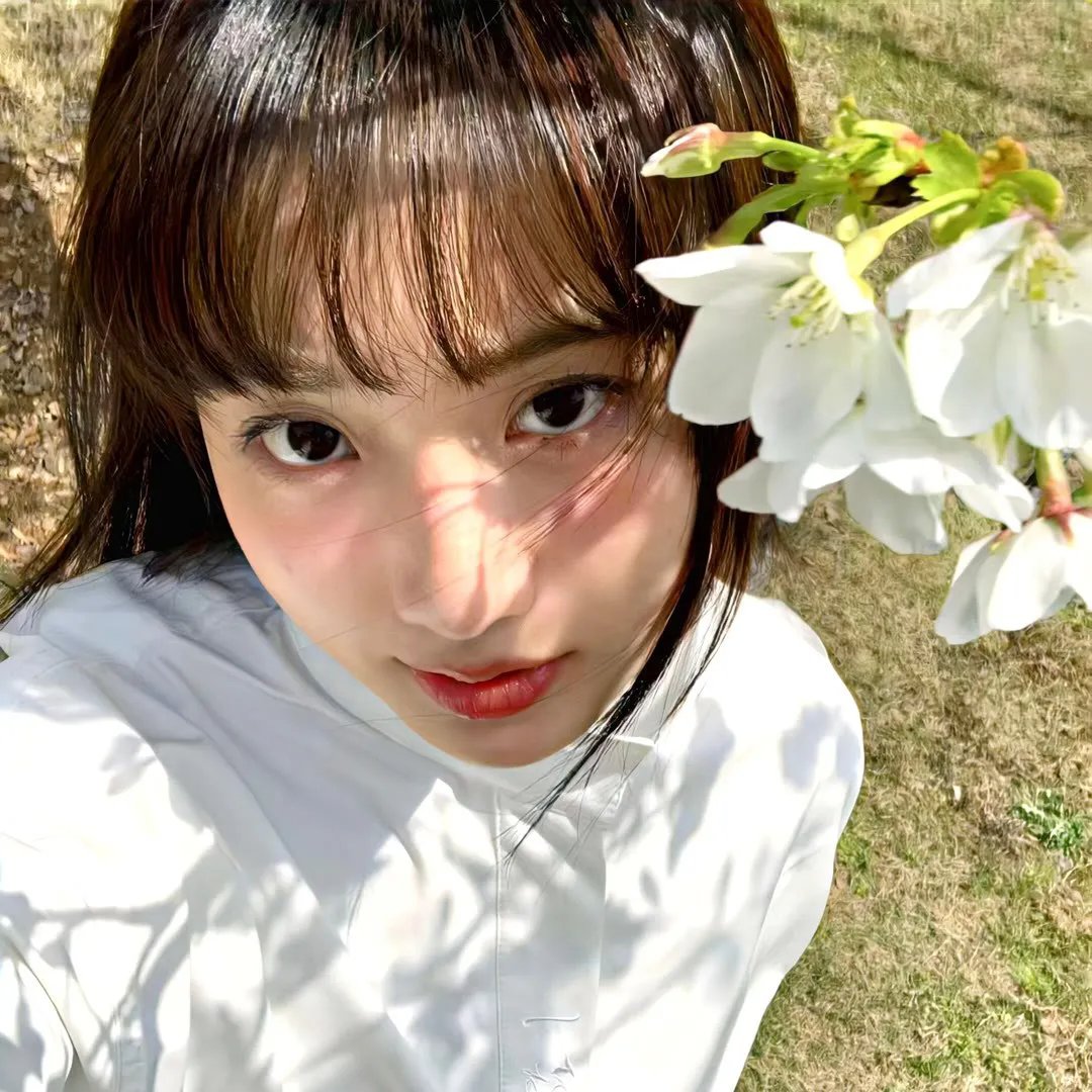 菲德尔